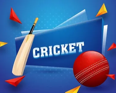 Cricket 3